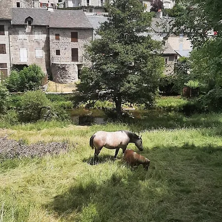 Maison De Village Base-rando Margeride 1 6 Personnes Et 1 Duplex 8 Personnes